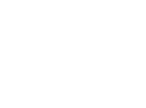 hassan marine logo